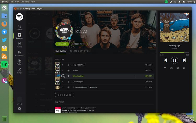 Spotify web player download music downloads